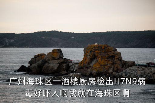 廣州病毒餐廳，廣州海珠區(qū)一酒樓廚房檢出H7N9病毒好嚇人啊我就在海珠區(qū)啊