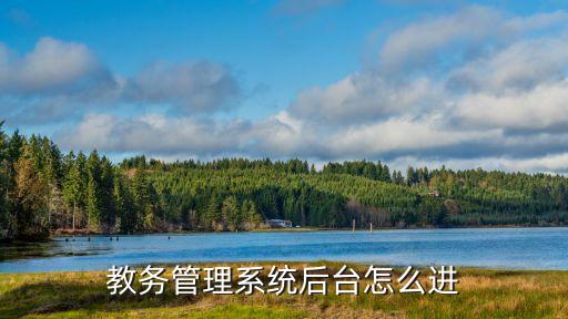 教務(wù)管理系統(tǒng)后臺(tái)怎么進(jìn)