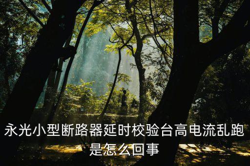 廣州斷路器延時(shí)試驗(yàn)臺(tái)，永光小型斷路器延時(shí)校臺(tái)產(chǎn)品夾上早跳是怎么回事電流沒(méi)輸錯(cuò)產(chǎn)