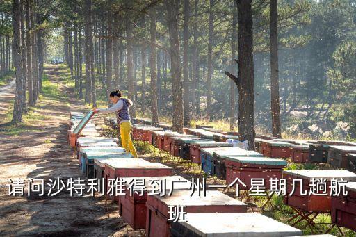 沙特至廣州航班查詢，請(qǐng)問(wèn)沙特利雅得到廣州一個(gè)星期幾趟航班