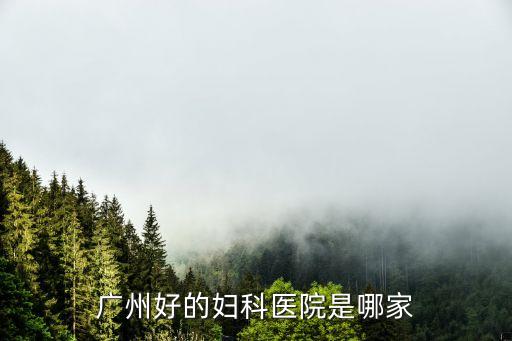 多地醫(yī)護(hù)馳援廣州市，康眾卡提供了哪些醫(yī)院的網(wǎng)上預(yù)約掛號(hào) 求行家解答