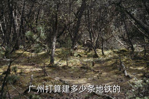 廣州打算建多少條地鐵的