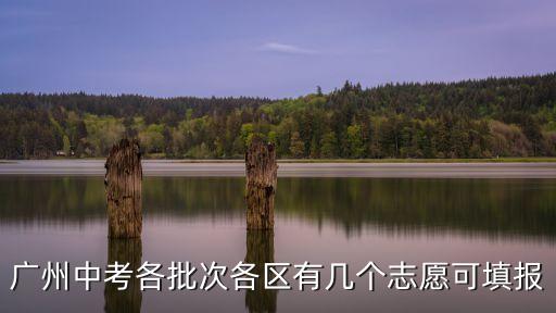 廣州中考各批次各區(qū)有幾個志愿可填報
