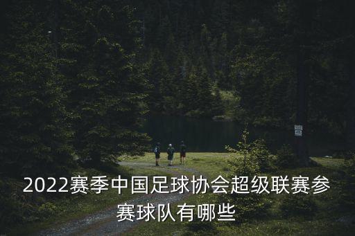 2022賽季中國足球協會超級聯賽參賽球隊有哪些