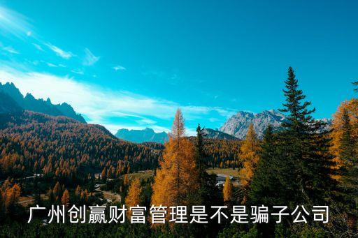 廣州創贏電子，廣州創贏智能科技有限公司的gps怎么樣啊