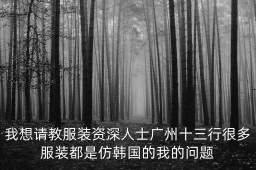 我想請教服裝資深人士廣州十三行很多服裝都是仿韓國的我的問題