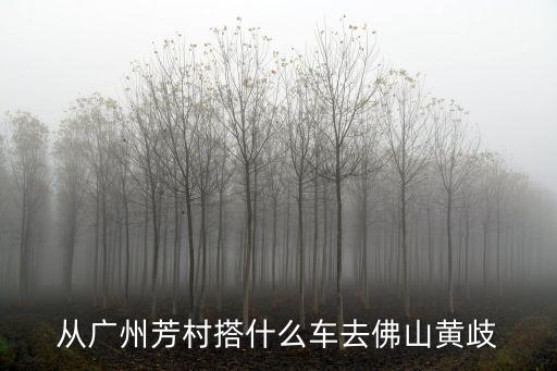 廣州榮興路口芳村大道北，廣州天河客運站到荔灣芳村大道要怎么去