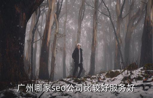 廣州市引流seo哪家好，廣州有哪家公司做SEO優化最有效果
