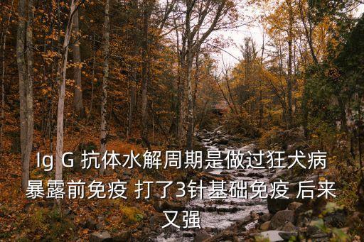 Ig G 抗體水解周期是做過(guò)狂犬病暴露前免疫 打了3針基礎(chǔ)免疫 后來(lái)又強(qiáng)