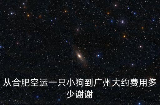 從合肥空運一只小狗到廣州大約費用多少謝謝