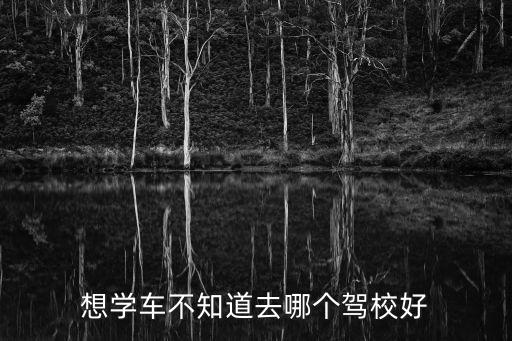 想學車不知道去哪個駕校好