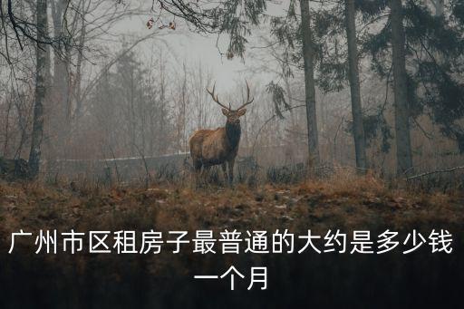 廣州市區(qū)租房子最普通的大約是多少錢一個月