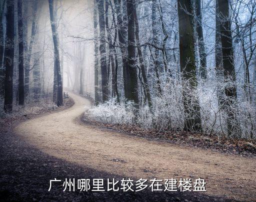 廣州哪個區(qū)買新房多，廣州新居哪里比較多或者在建的差不多完工的樓盤辦公室之類的搜
