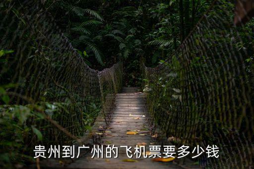 貴州到廣州的飛機(jī)票要多少錢(qián)