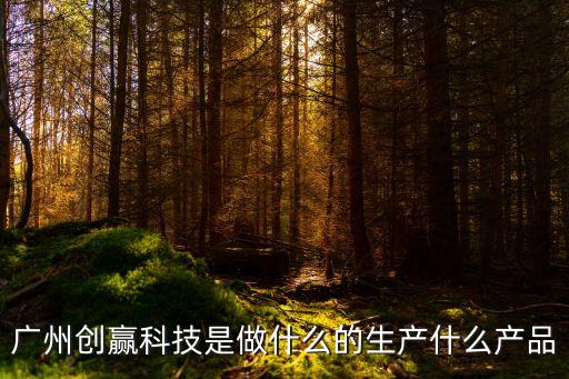 廣州創贏科技是做什么的生產什么產品