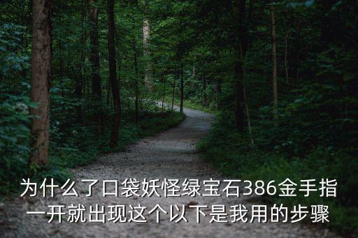 為什么了口袋妖怪綠寶石386金手指一開就出現(xiàn)這個(gè)以下是我用的步驟