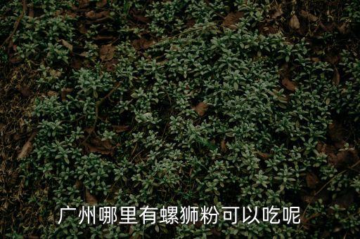 廣州螺螄粉免費吃，請問廣州哪里有螺螄粉吃