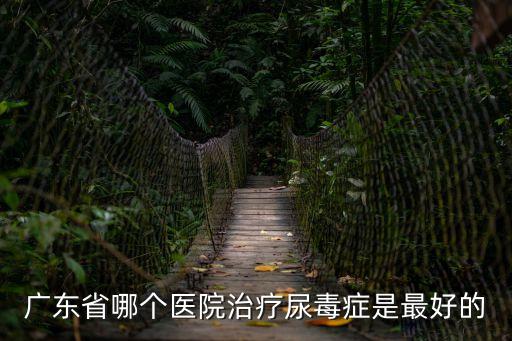 廣東省哪個(gè)醫(yī)院治療尿毒癥是最好的