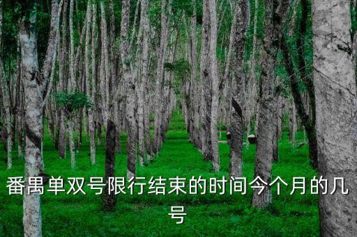 廣州番禺今天解封了嗎，今天河南到廣州市路上解封沒有