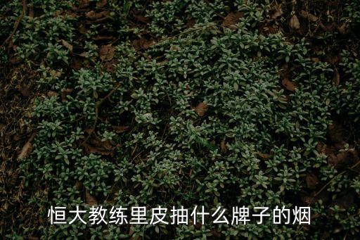 恒大教練里皮抽什么牌子的煙
