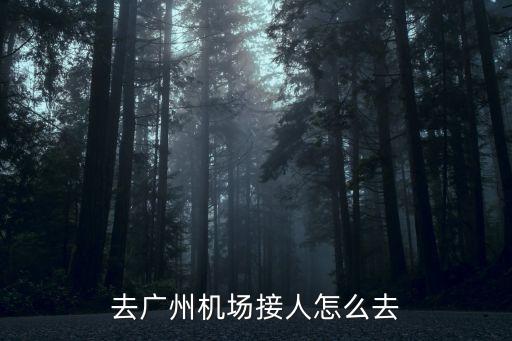 去廣州機(jī)場(chǎng)接人怎么去