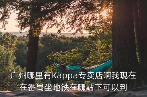 廣州簡(jiǎn)愛(ài)酸奶線下門(mén)店，廣東哪里有Swarovski的專賣店呢