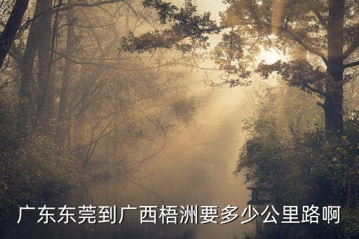 廣州東莞到廣西梧州有多遠，東莞市到廣西梧州市有多少公里