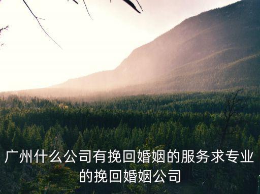 廣州什么公司有挽回婚姻的服務求專業(yè)的挽回婚姻公司