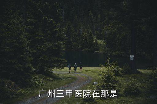 廣州市三甲醫(yī)院是什么，廣州三甲醫(yī)院有哪些