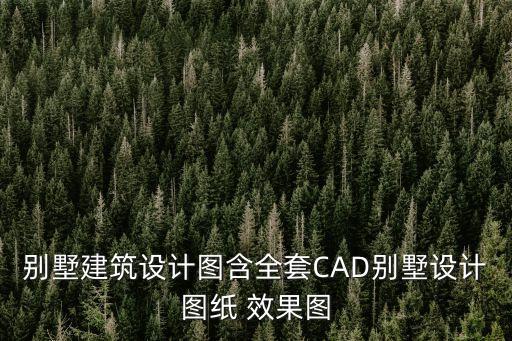 別墅建筑設計圖含全套CAD別墅設計圖紙 效果圖
