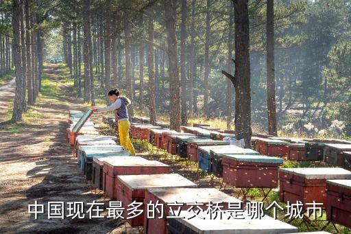 廣州高架橋最多的地方，中國現在最多的立交橋是哪個城市