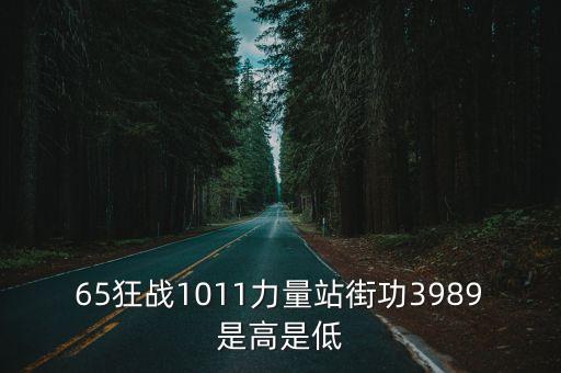 65狂戰(zhàn)1011力量站街功3989是高是低