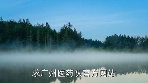 廣州醫療隊員回家，求廣州醫藥隊官方網站