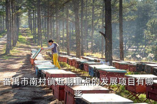 番禺市南村鎮近期重點的發展項目有哪些