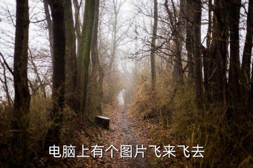 飛來飛去廣州視頻，飛來飛去見到燈光有些斷翼了還在房間爬沒事的吧