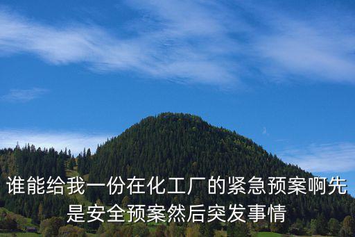 誰能給我一份在化工廠的緊急預案啊先是安全預案然后突發事情