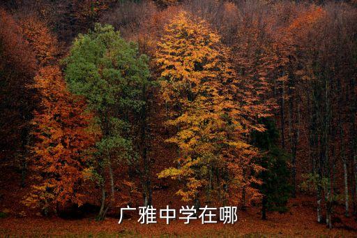 廣雅中學在哪