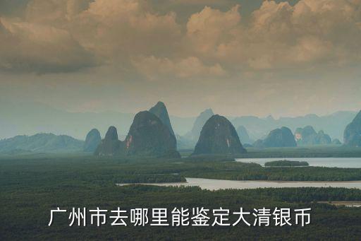 廣州哪個機構可以鑒定銀，廣州市去哪里能鑒定大清銀幣
