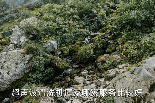 超聲波清洗機廠家哪家服務比較好