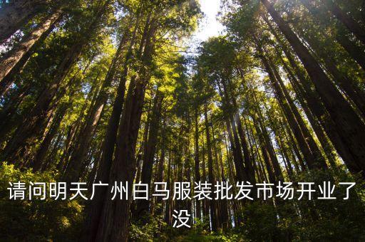 廣州白馬服裝市場開工沒有，廣州白馬服裝城什么時候開業