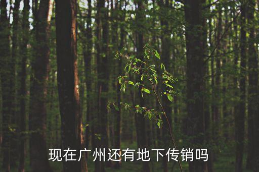 現在廣州還有地下傳銷嗎