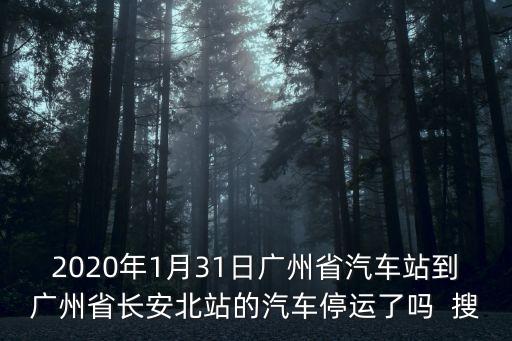 廣州各客運站停運幾家，2020年1月31日廣州省汽車站到廣州省長安北站的汽車停運了嗎  搜