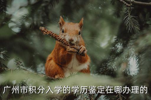 廣州滿分教育學歷，積分入戶廣州繼續教育的學歷能加分嗎