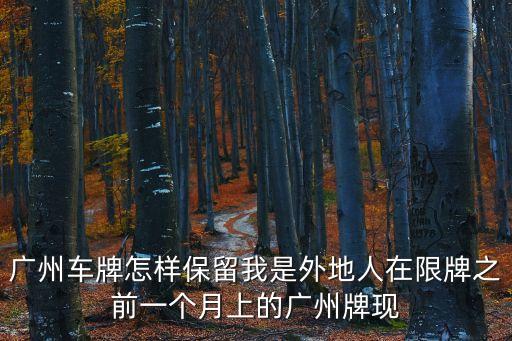 廣州車牌怎樣保留我是外地人在限牌之前一個月上的廣州牌現(xiàn)