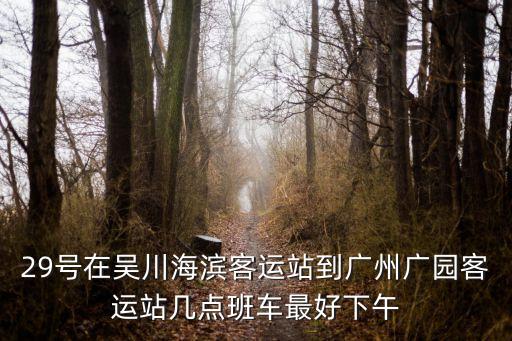 29號在吳川海濱客運站到廣州廣園客運站幾點班車最好下午