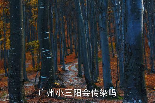 廣州小三陽會傳染嗎