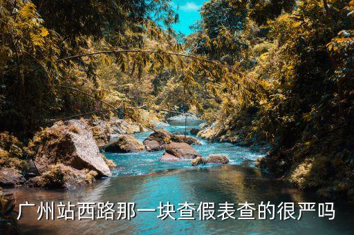 廣州站西路那一塊查假表查的很嚴嗎