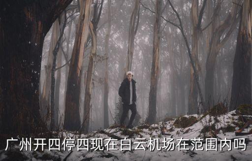 廣州開(kāi)四停四現(xiàn)在白云機(jī)場(chǎng)在范圍內(nèi)嗎