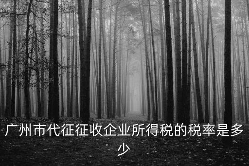 廣州市代征征收企業(yè)所得稅的稅率是多少