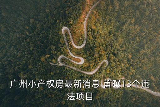 廣州小產(chǎn)權(quán)房最新消息 首曝13個(gè)違法項(xiàng)目